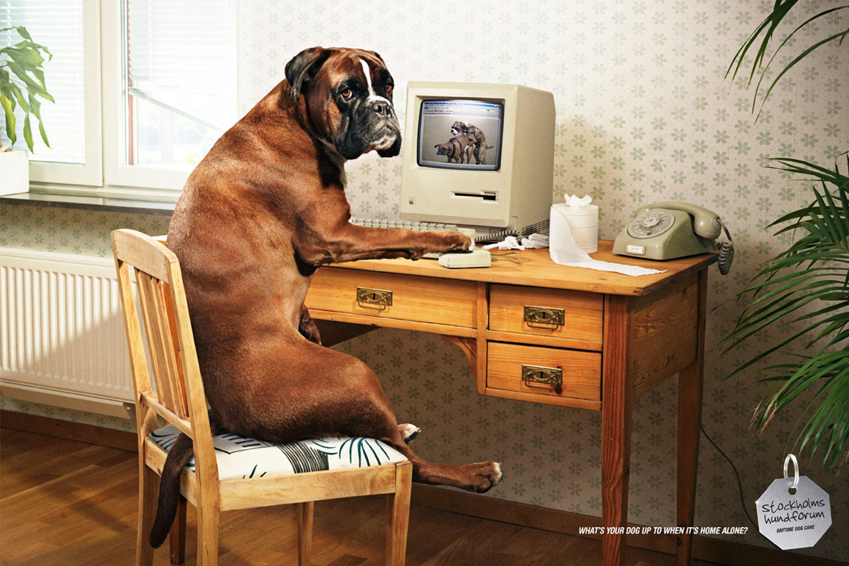 Stockholms Hundforum: Wanking dog • Ads of the World™ | Part of The Clio  Network