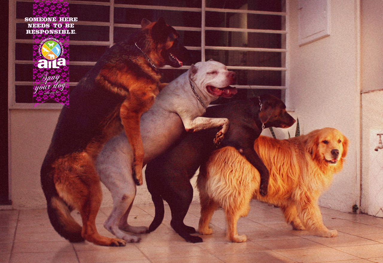 Aila: Dog XXX • Ads of the World™ | Part of The Clio Network